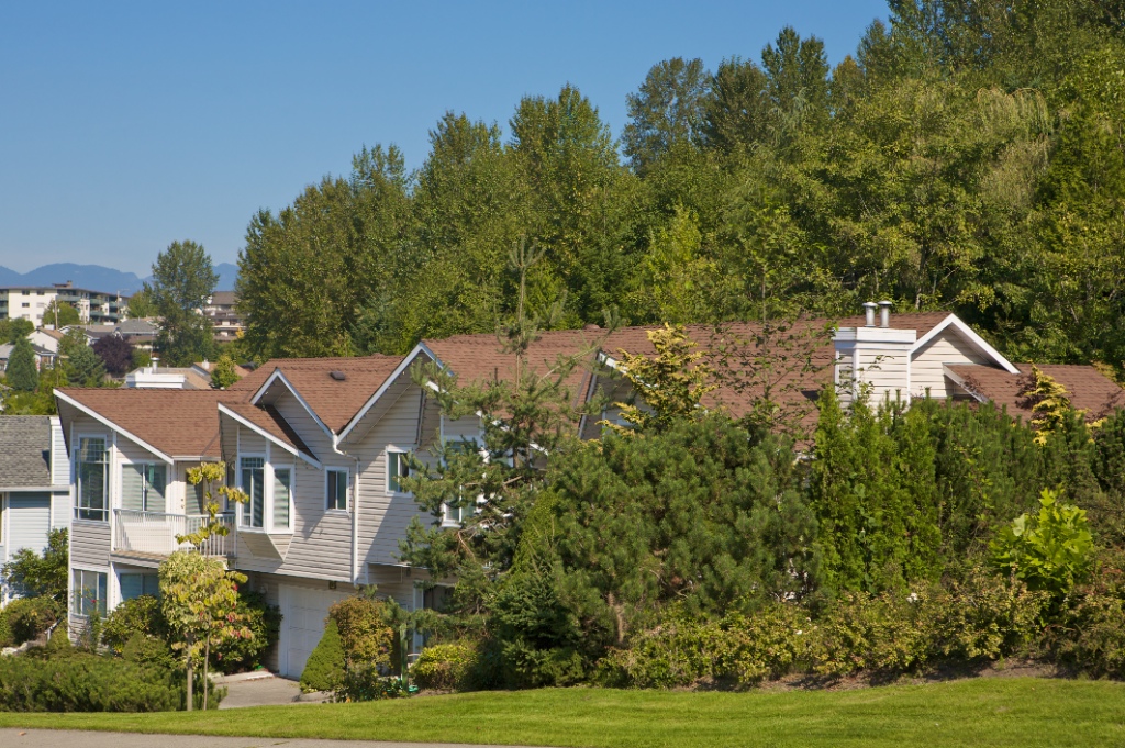 22555 116 Avenue, East Central - Image