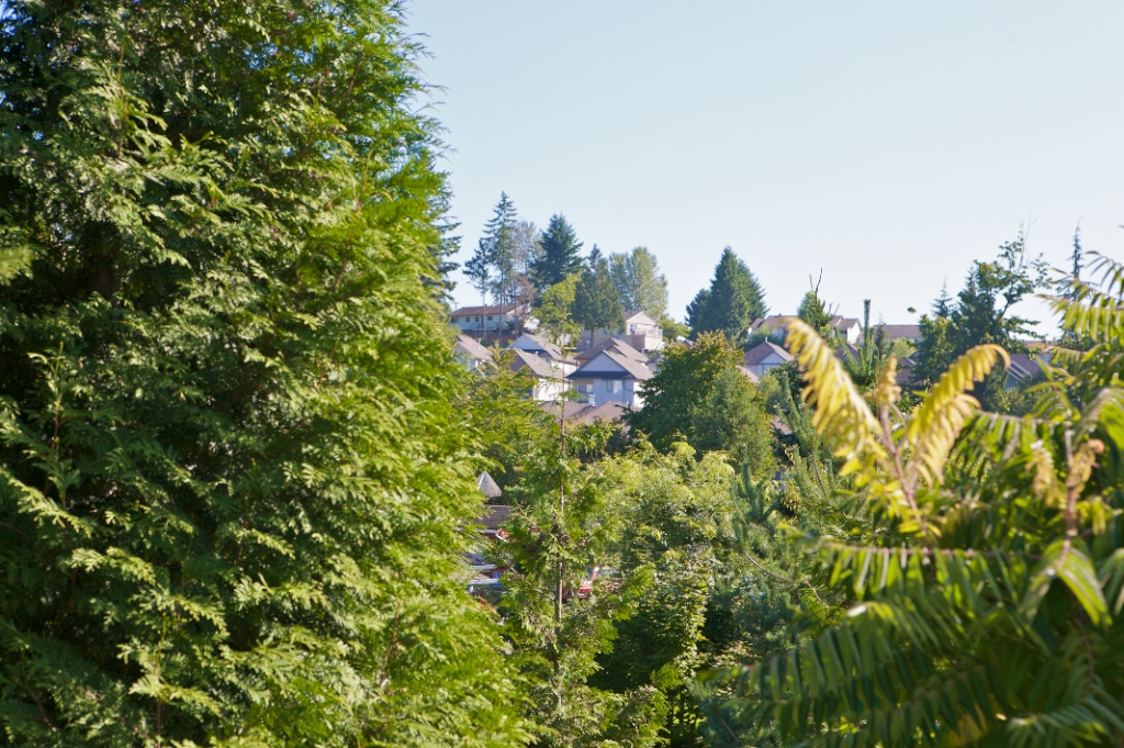 22740 116 Avenue, East Central - Image