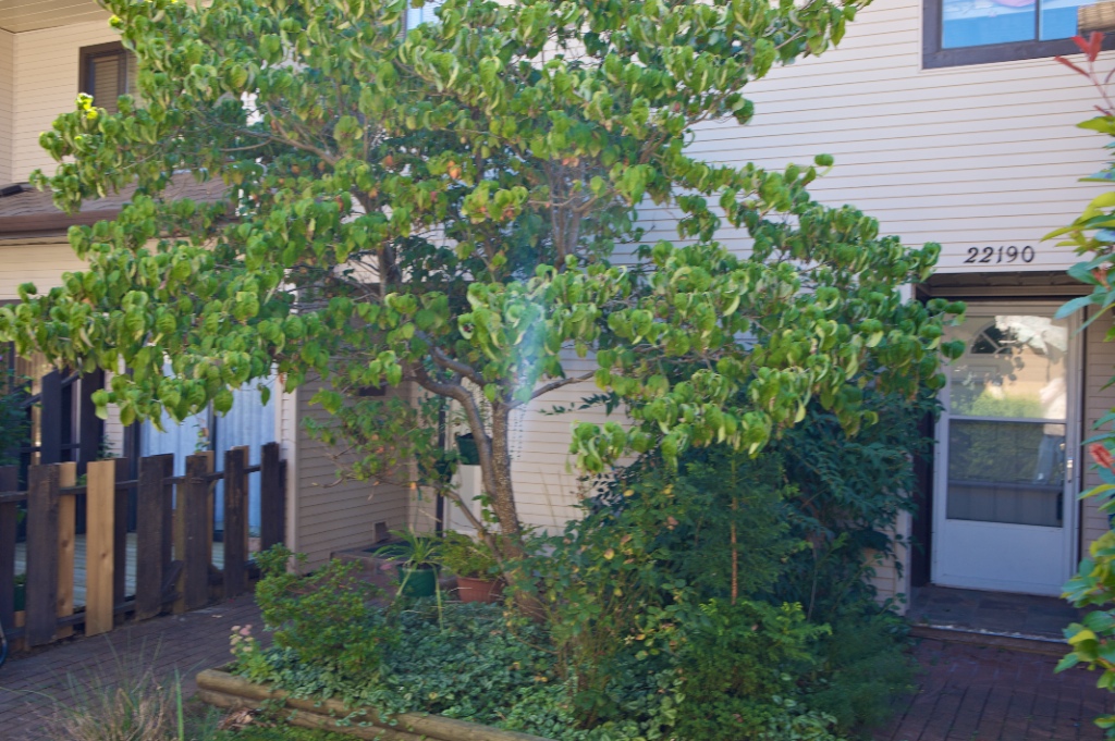 22160 - 22190 122 Avenue, West Central - Image