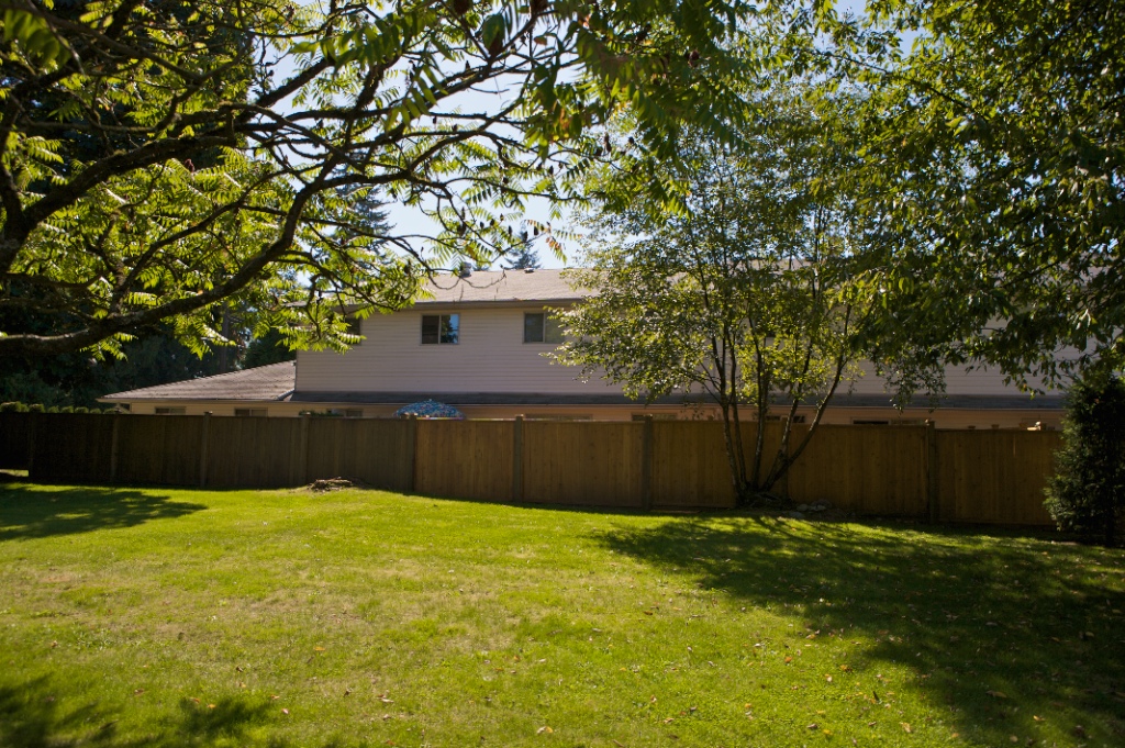 11757 207 Street, Southwest Maple Ridge - Image