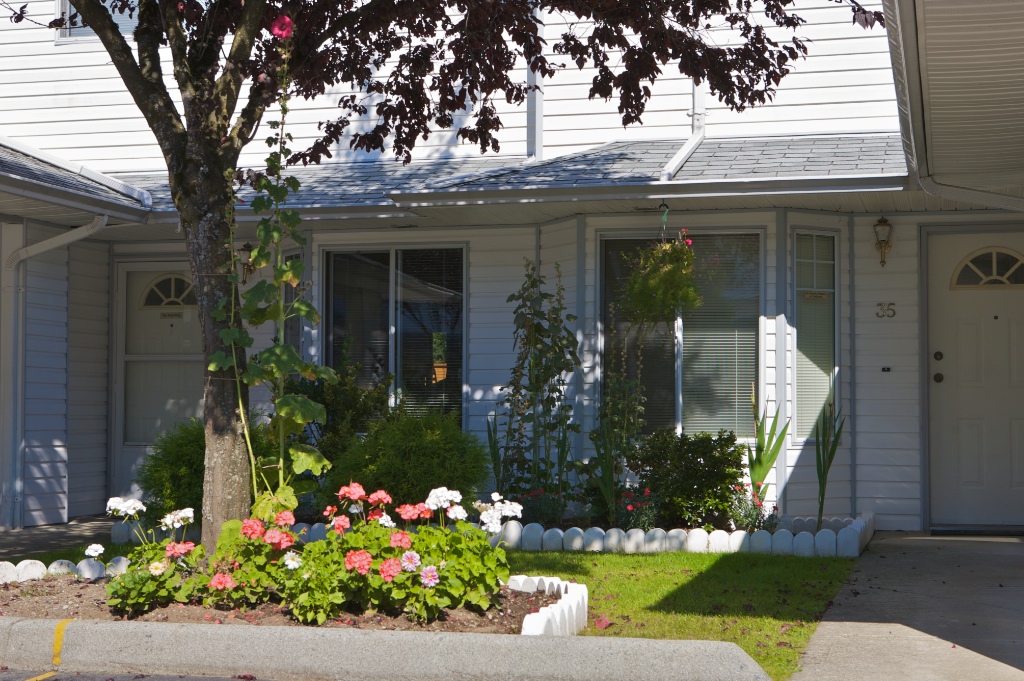 11757 207 Street, Southwest Maple Ridge - Image