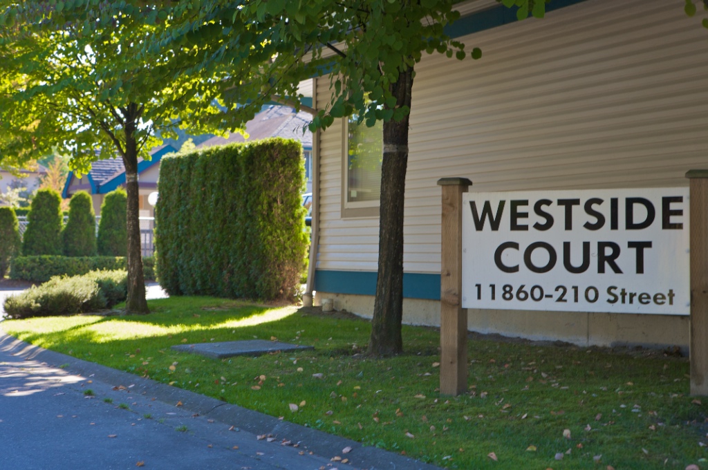 11860 210 Street, Southwest Maple Ridge - Image