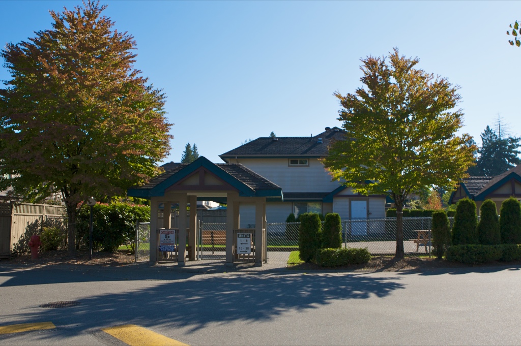 11860 210 Street, Southwest Maple Ridge - Image