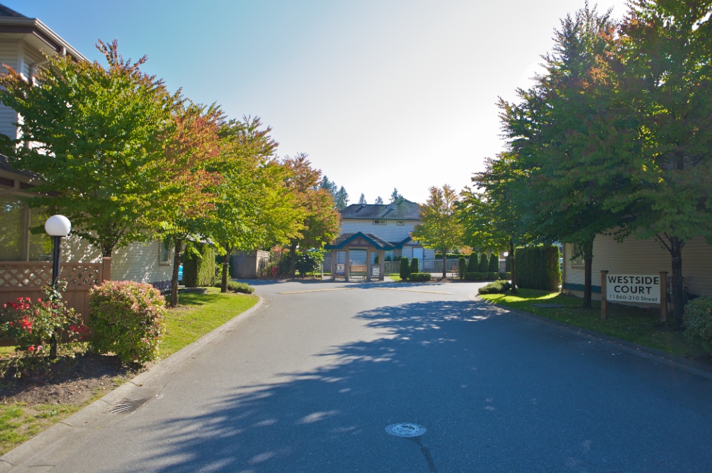 11875 210 Street, Southwest Maple Ridge - Image