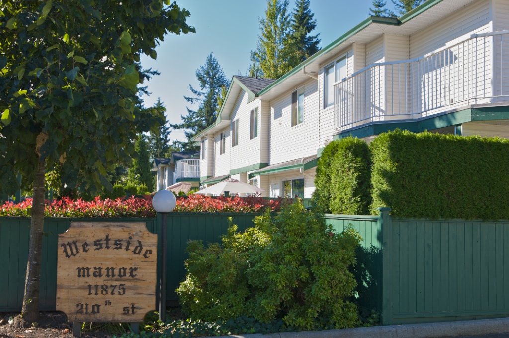 11875 210 Street, Southwest Maple Ridge - Image