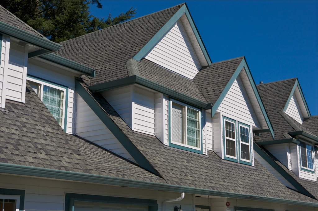 12070 216 Street, West Central - Image
