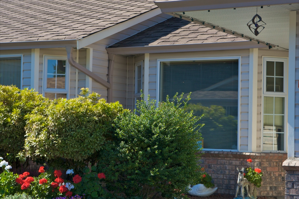 12049 217 Street, West Central - Image