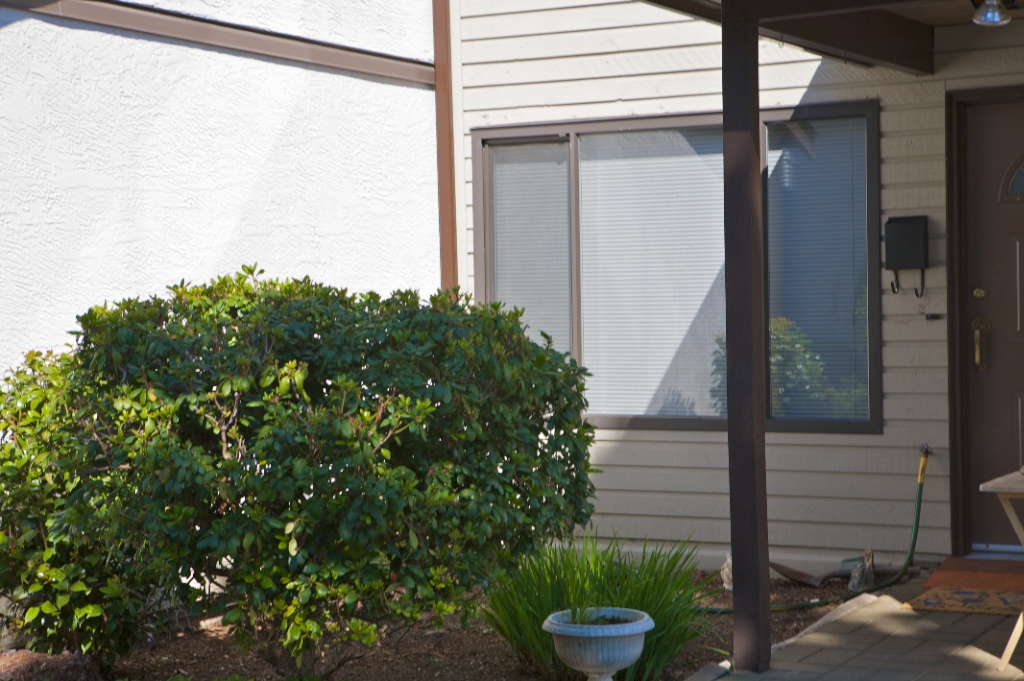 12151 - 12173 222 Street, West Central - Image