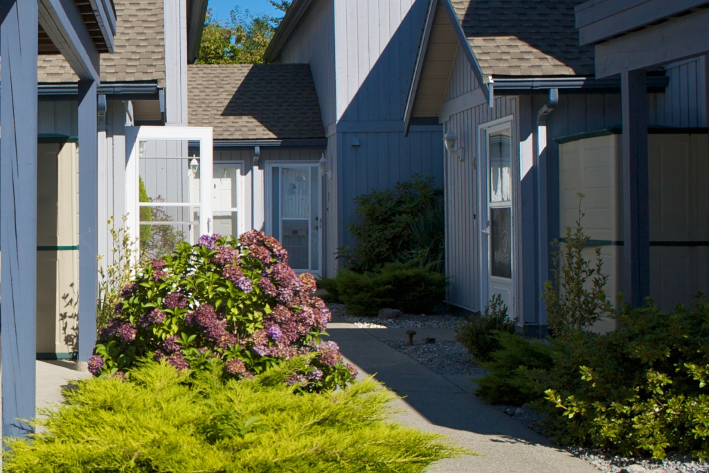 12334 224 Street, East Central - Image