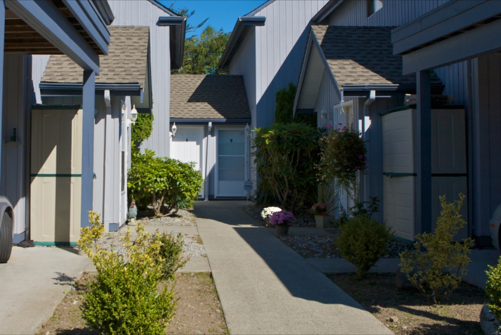 12334 224 Street, East Central - Image