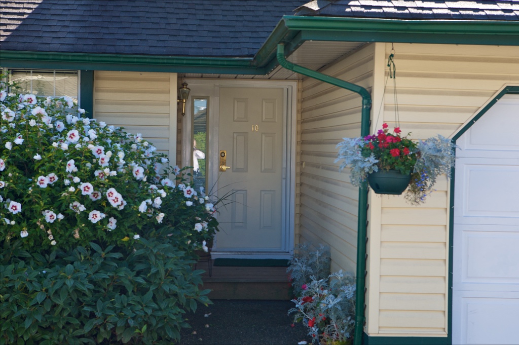 11485 227 Street, East Central - Image