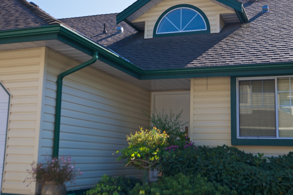 11485 227 Street, East Central - Image