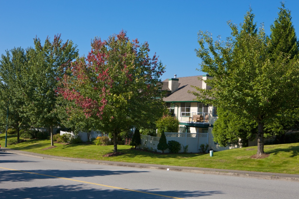 11485 227 Street, East Central - Image