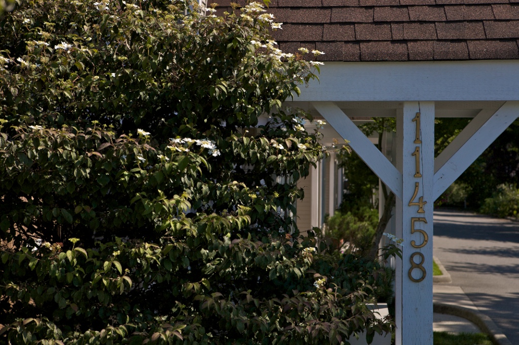 11458 232 Street, Cottonwood - Image