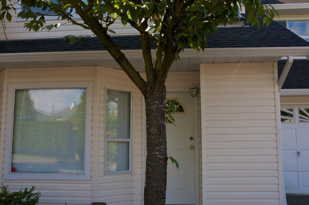 11588 232 Street, Cottonwood - Image