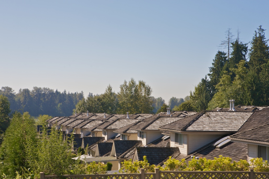 11438 Best Street, Southwest Maple Ridge - Image