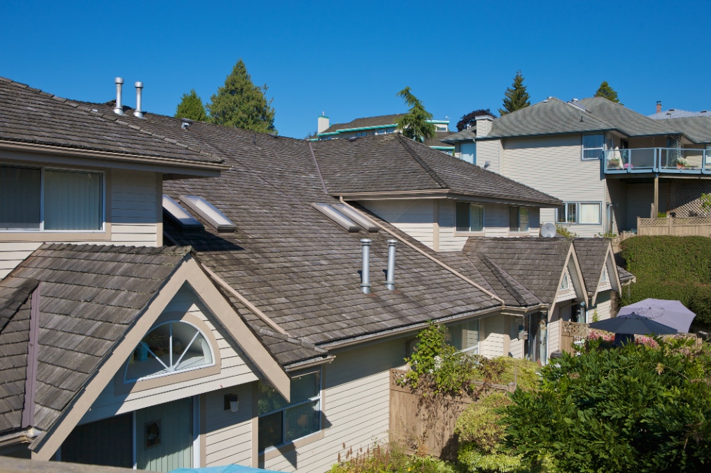 11438 Best Street, Southwest Maple Ridge - Image