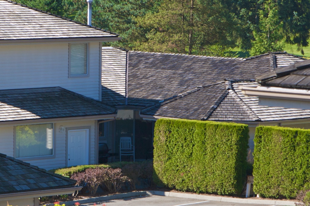 11438 Best Street, Southwest Maple Ridge - Image