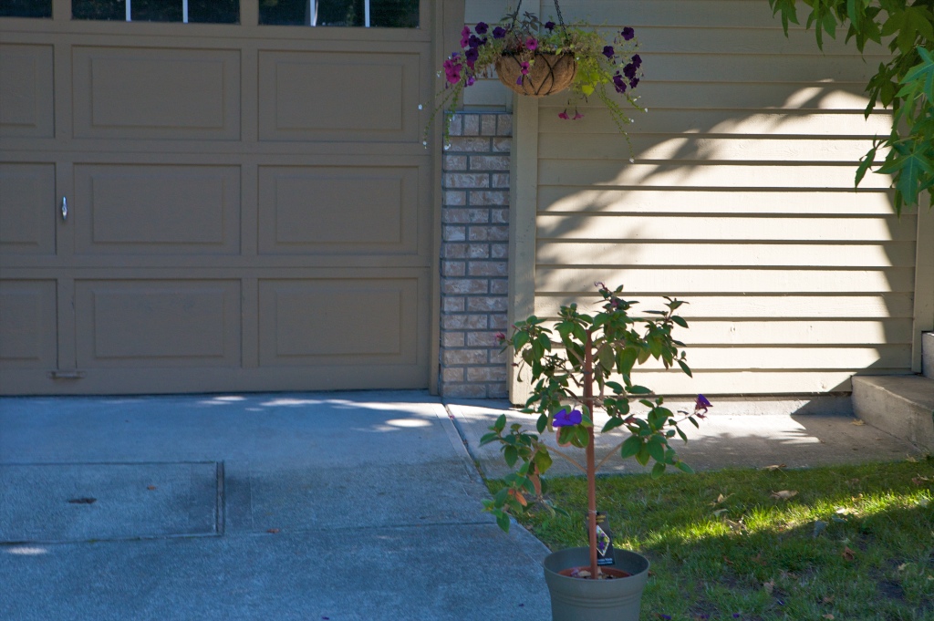 11580 Burnett Street, East Central - Image