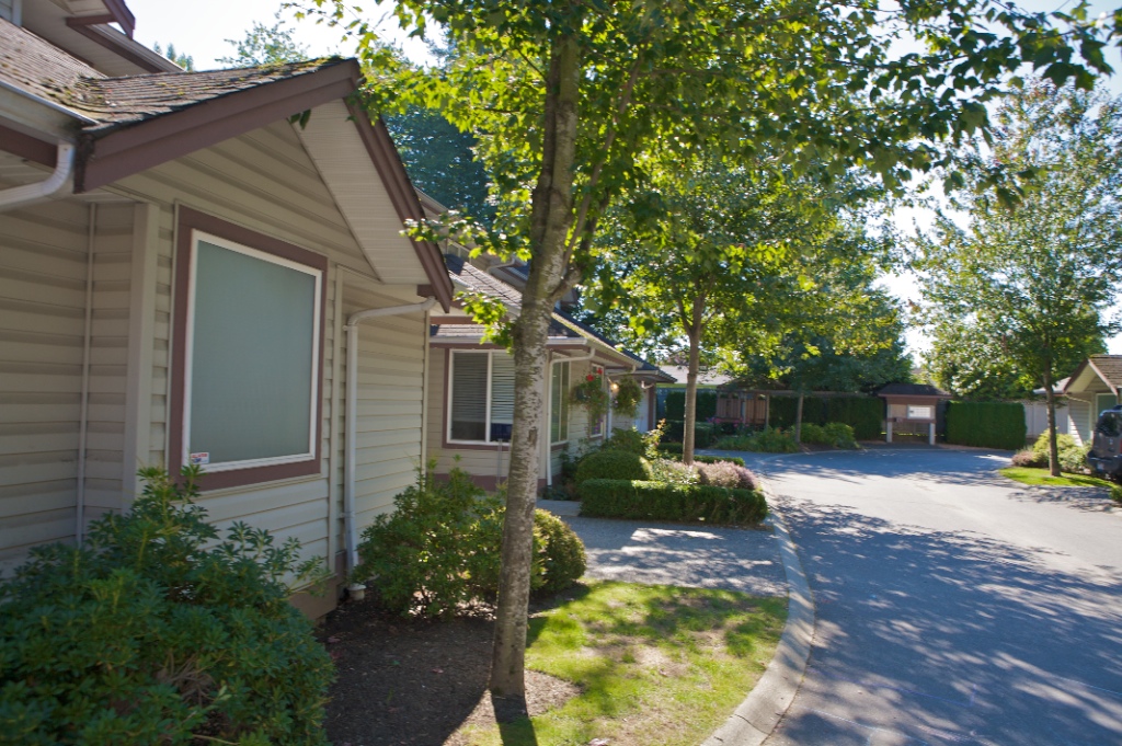20985 Camwood Avenue, Southwest Maple Ridge - Image