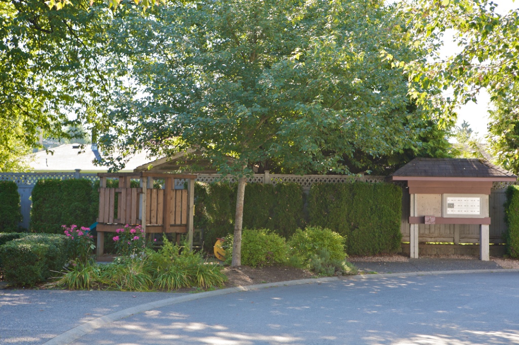 20985 Camwood Avenue, Southwest Maple Ridge - Image