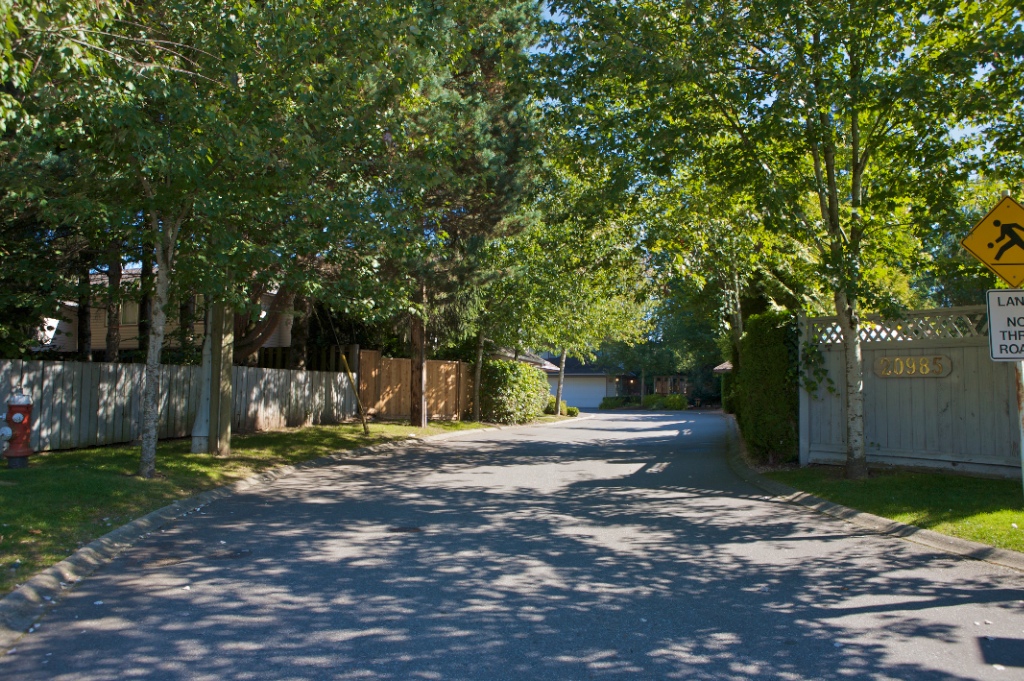 20985 Camwood Avenue, Southwest Maple Ridge - Image