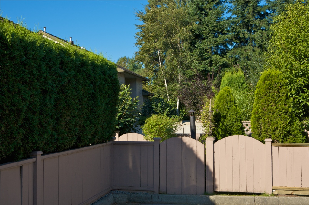20841 Dewdney Trunk Road, Northwest Maple Ridge - Image
