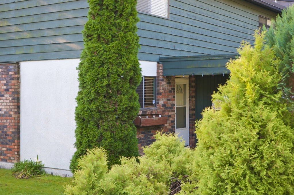 12137 - 12153 Faber Crescent, Northwest Maple Ridge - Image