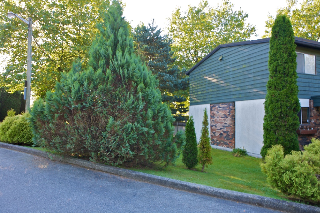 12137 - 12153 Faber Crescent, Northwest Maple Ridge - Image