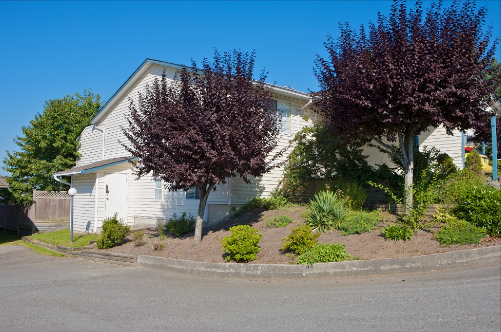 11464 Fisher Street, East Central - Image