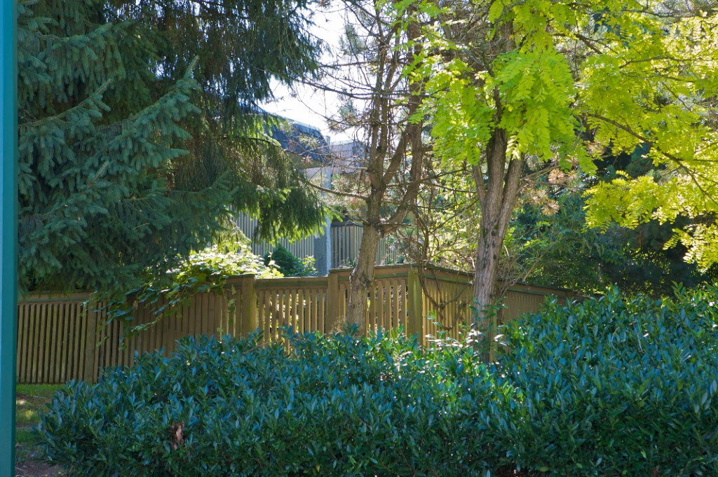 11663 - 11703 Fulton Street, East Central - Image