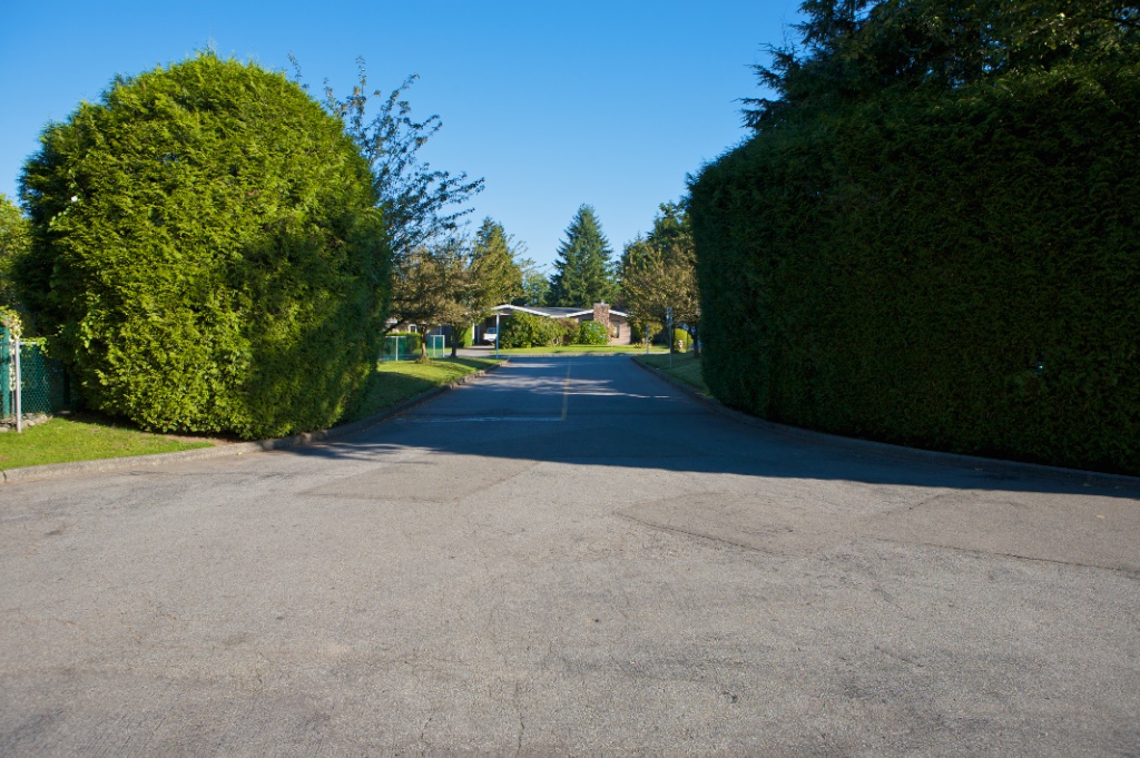 12101 - 12136 Schmidt Crescent, Northwest Maple Ridge - Image