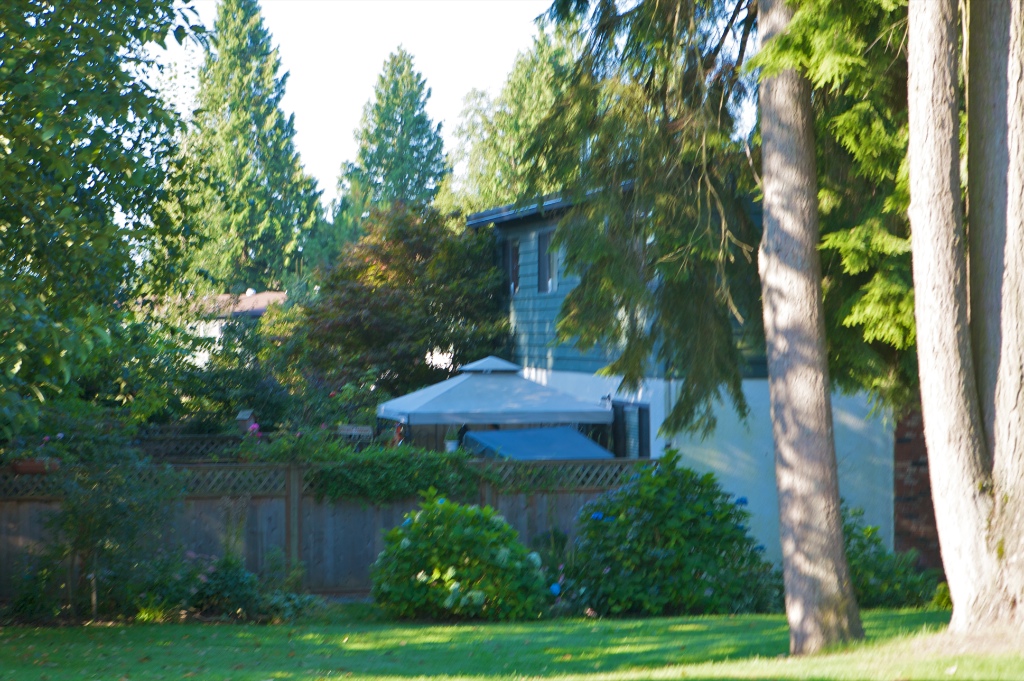 12101 - 12136 Schmidt Crescent, Northwest Maple Ridge - Image