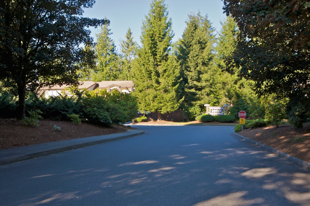 12227 Skillen Street, Northwest Maple Ridge - Image