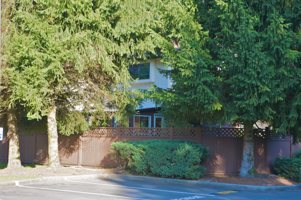 12227 Skillen Street, Northwest Maple Ridge - Image
