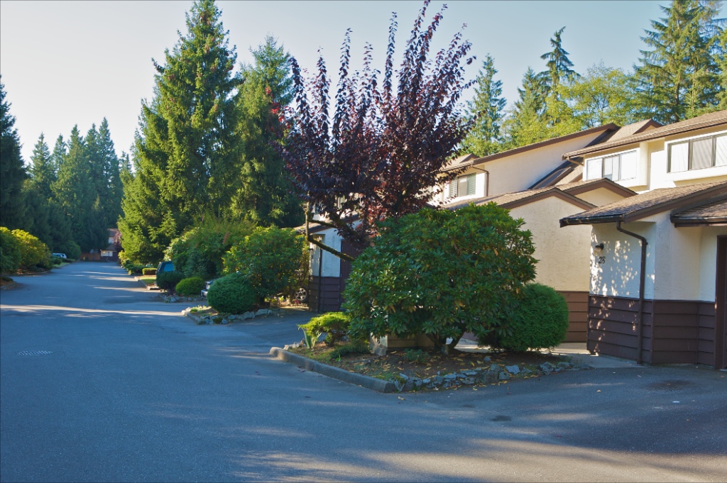 12227 Skillen Street, Northwest Maple Ridge - Image