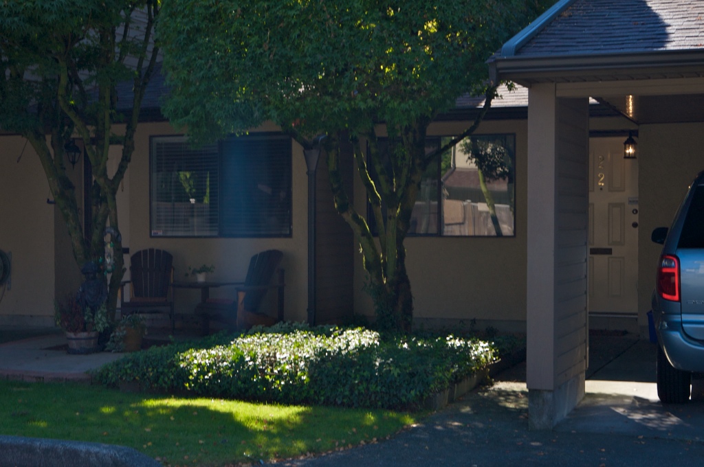20653 Thorne Avenue, Southwest Maple Ridge - Image