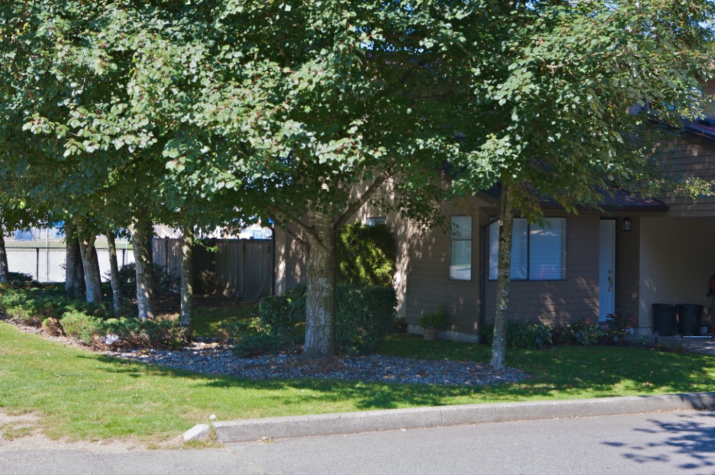20653 Thorne Avenue, Southwest Maple Ridge - Image