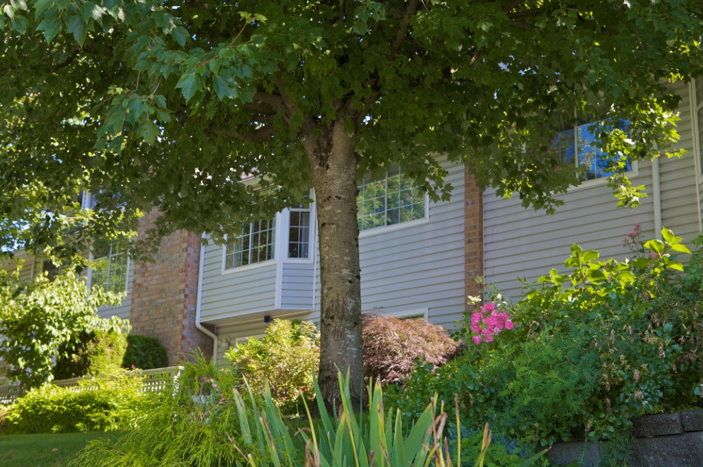 11578 225 Street, East Central - Image