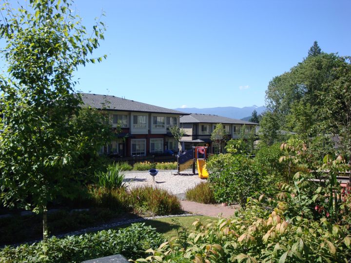 13771 232a Street, Silver Valley - Image